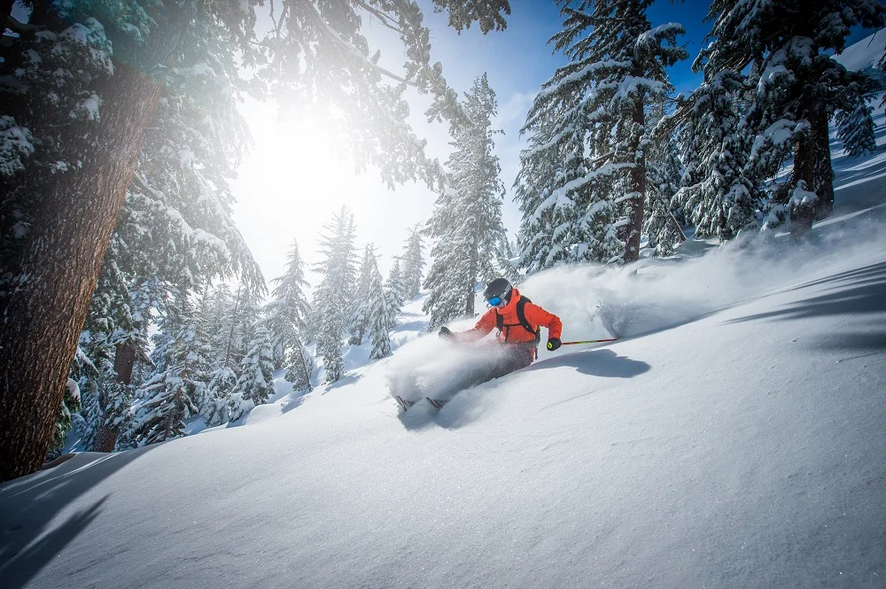 A skier carving through deep powder among snow-laden pine trees at Kirkwood near Lake Tahoe