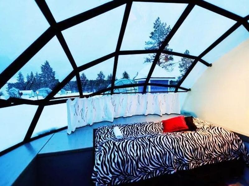 Guests on a leisurely aurora package at Borealis Basecamp